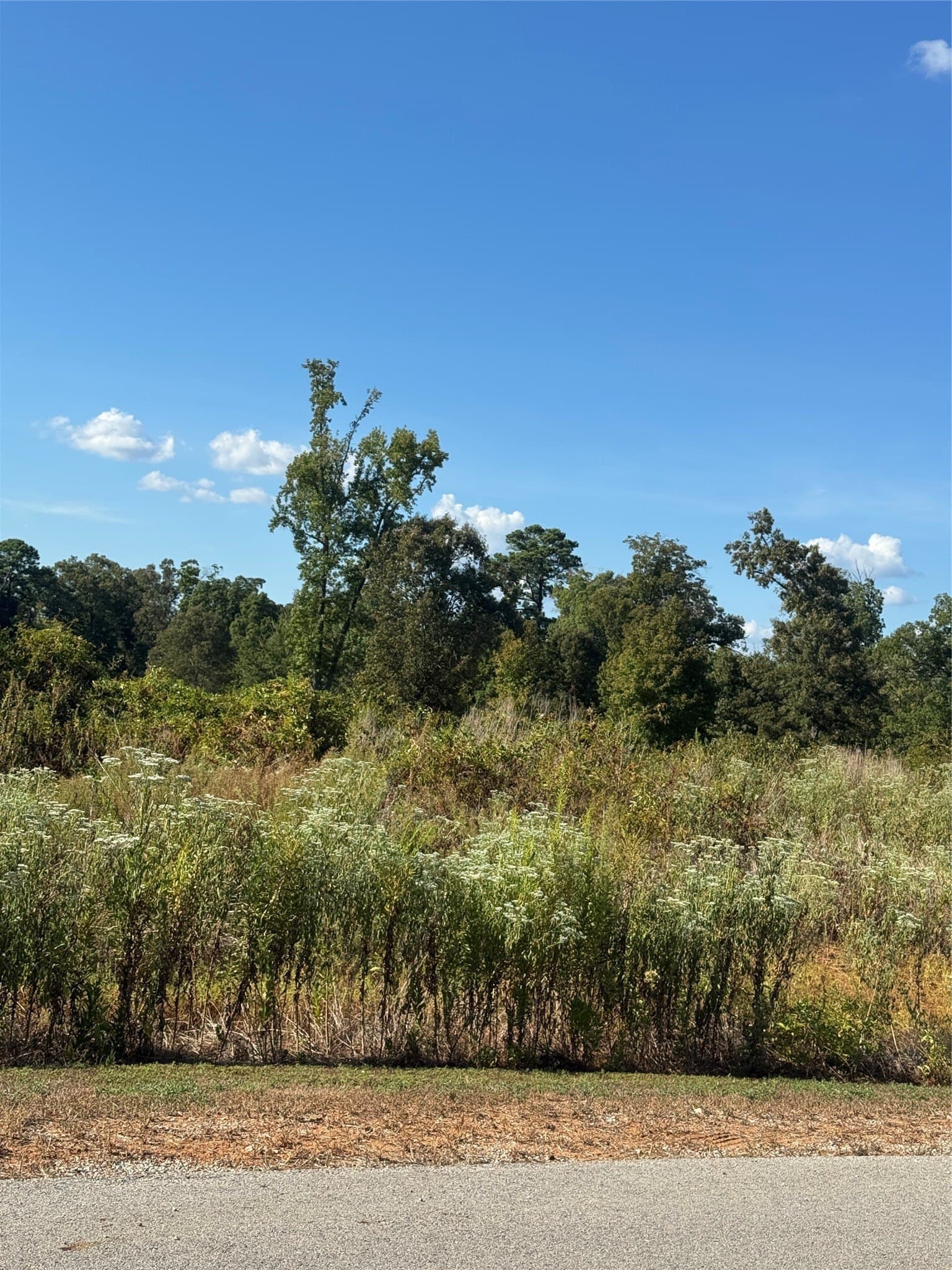 4.88 acres in Smith County - photo 2