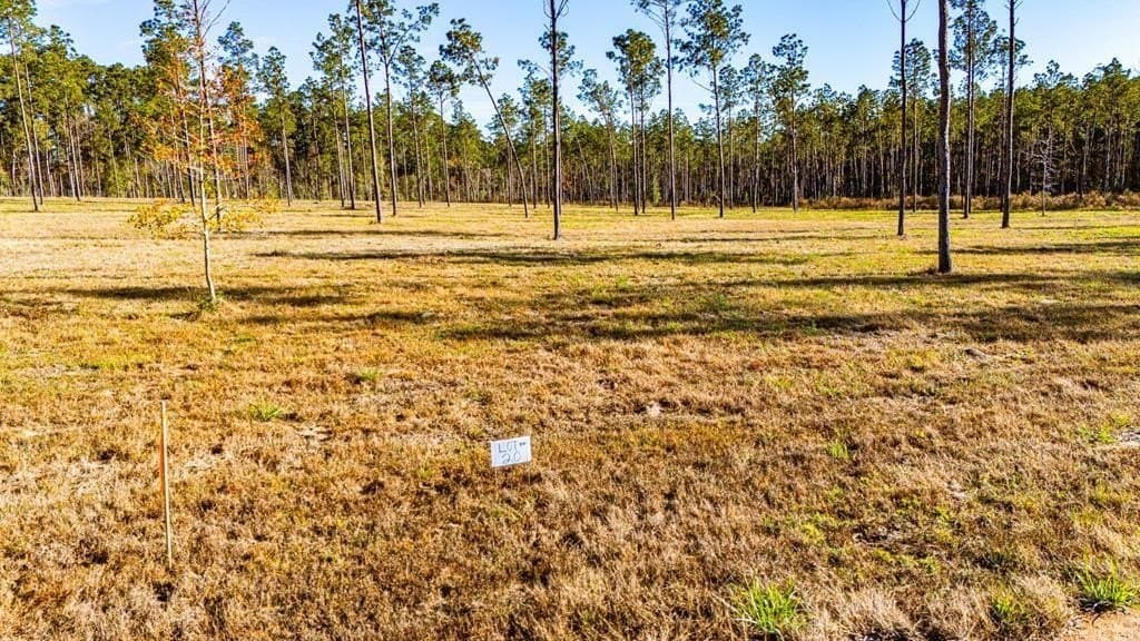 11.1 acres in Polk County