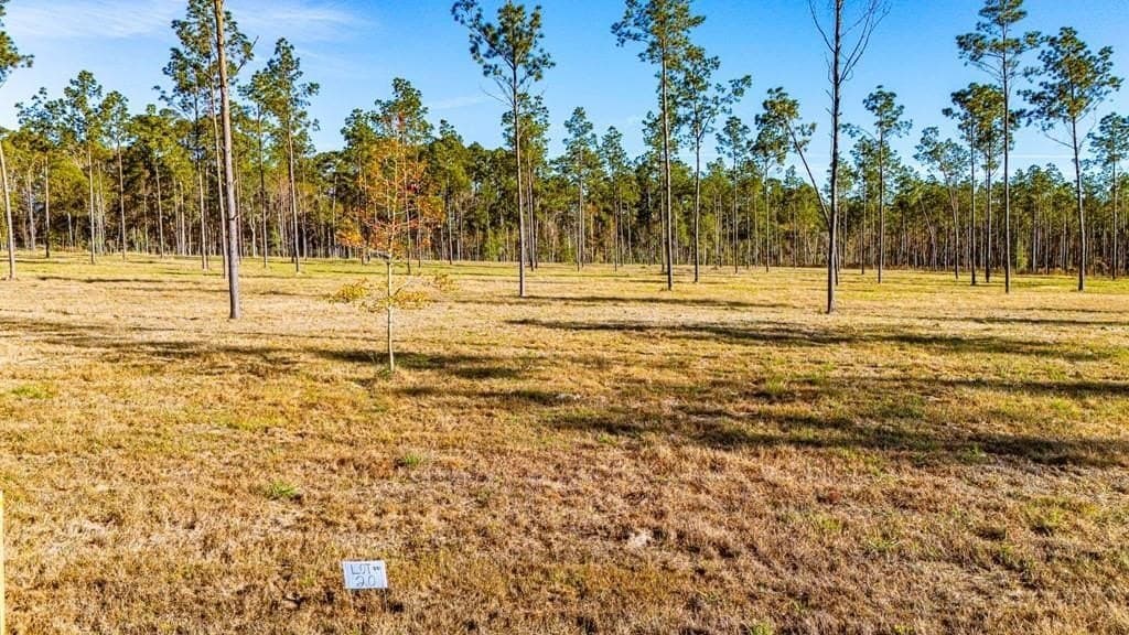 11.1 acres in Polk County - photo 3