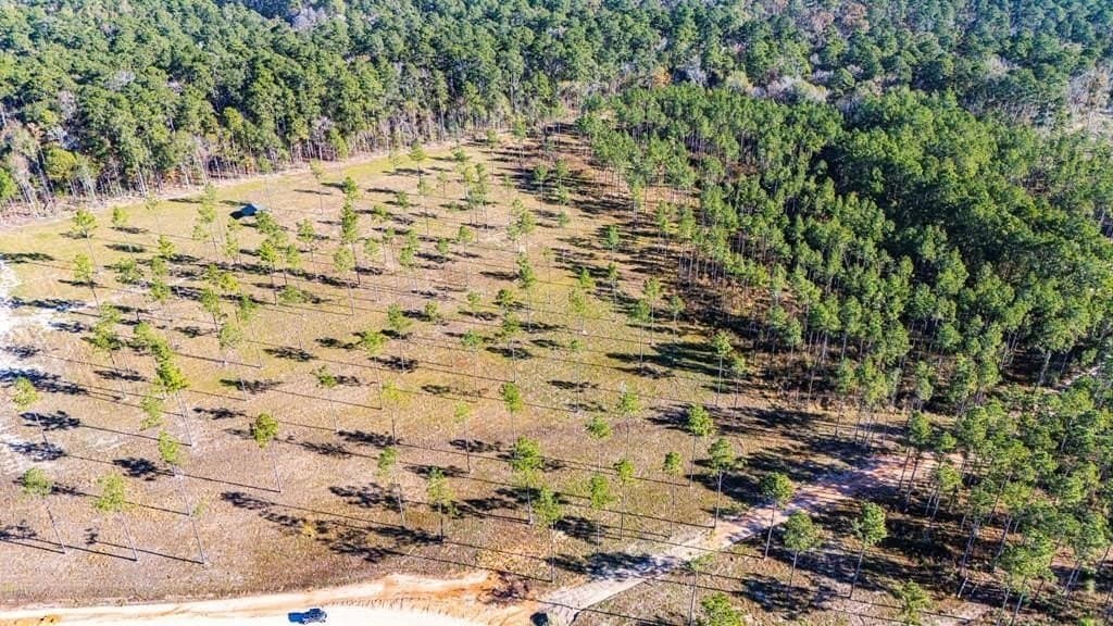 11.1 acres in Polk County - photo 8