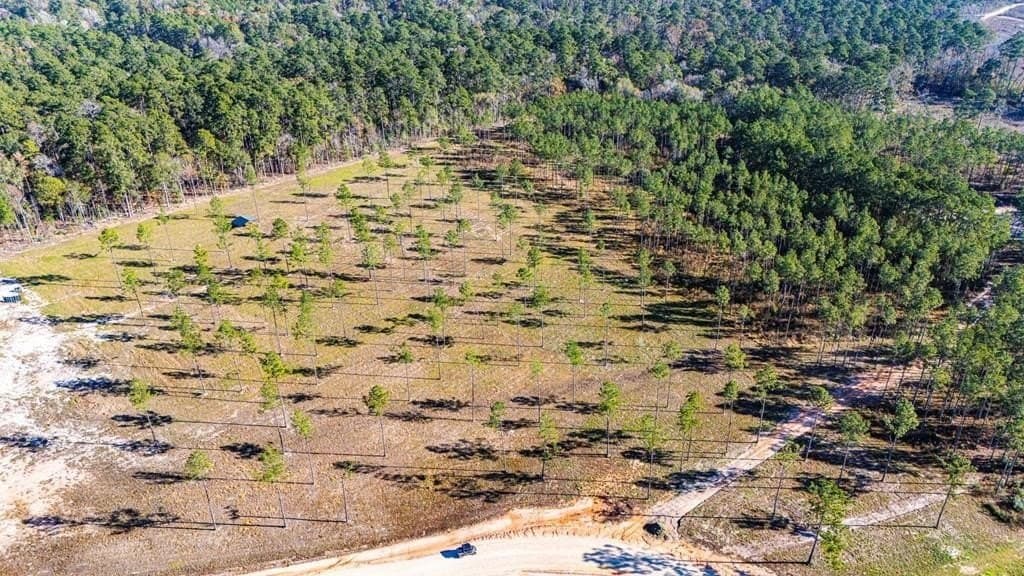 11.1 acres in Polk County - photo 7