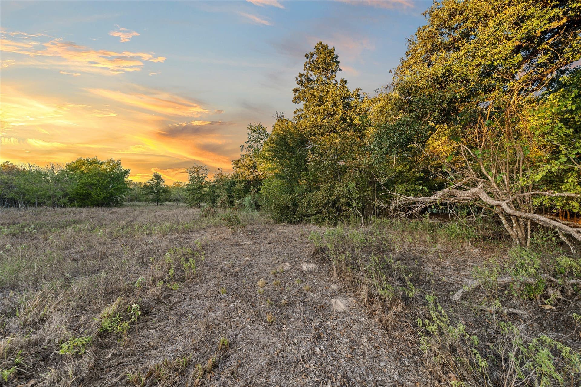 26.67 acres in Falls County - photo 28
