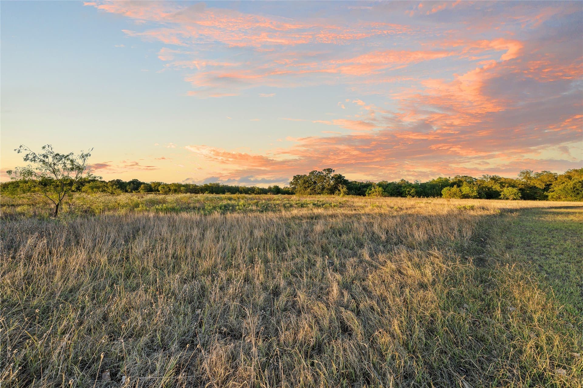 26.67 acres in Falls County - photo 23