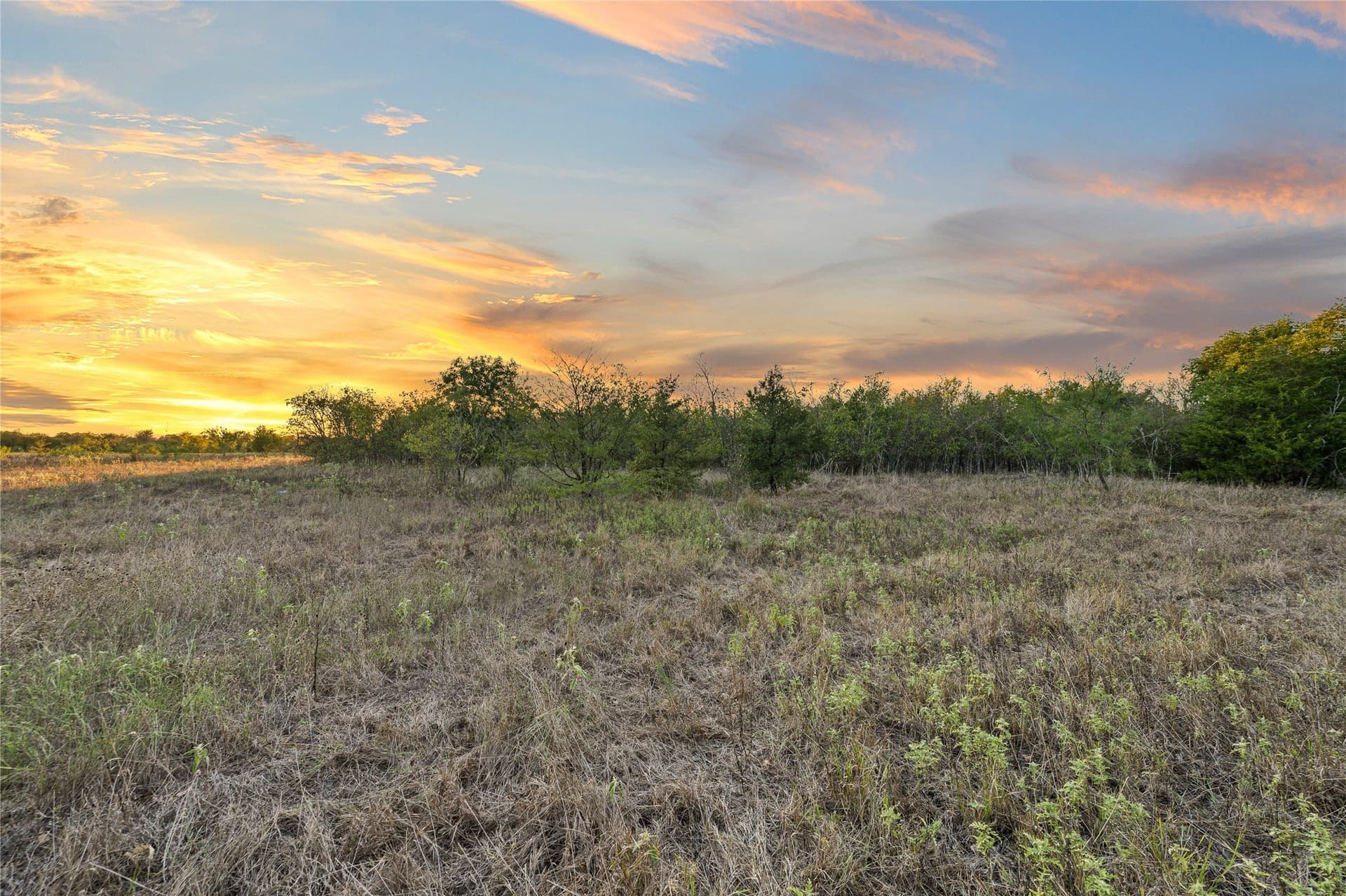26.67 acres in Falls County - photo 29