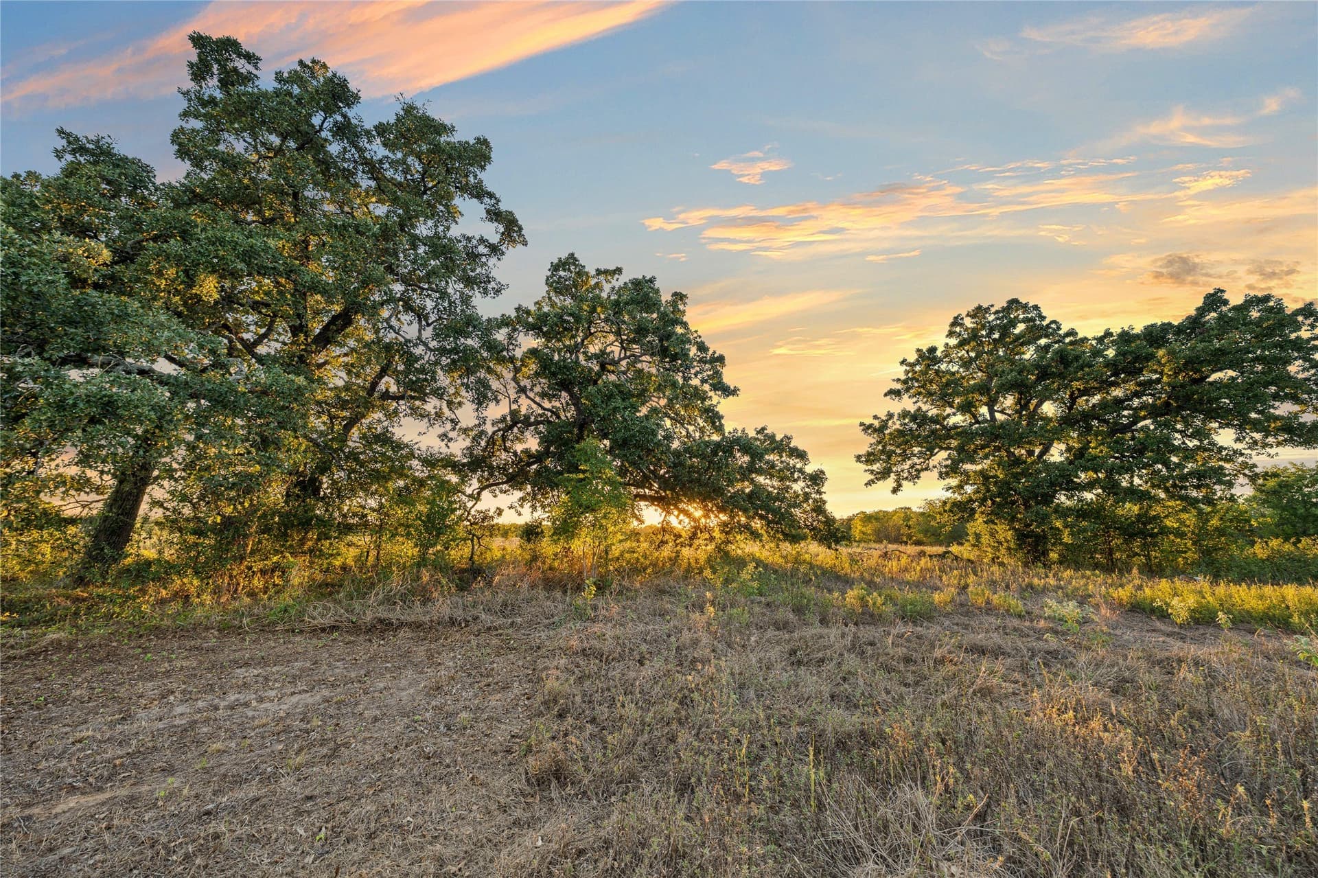 26.67 acres in Falls County - photo 25