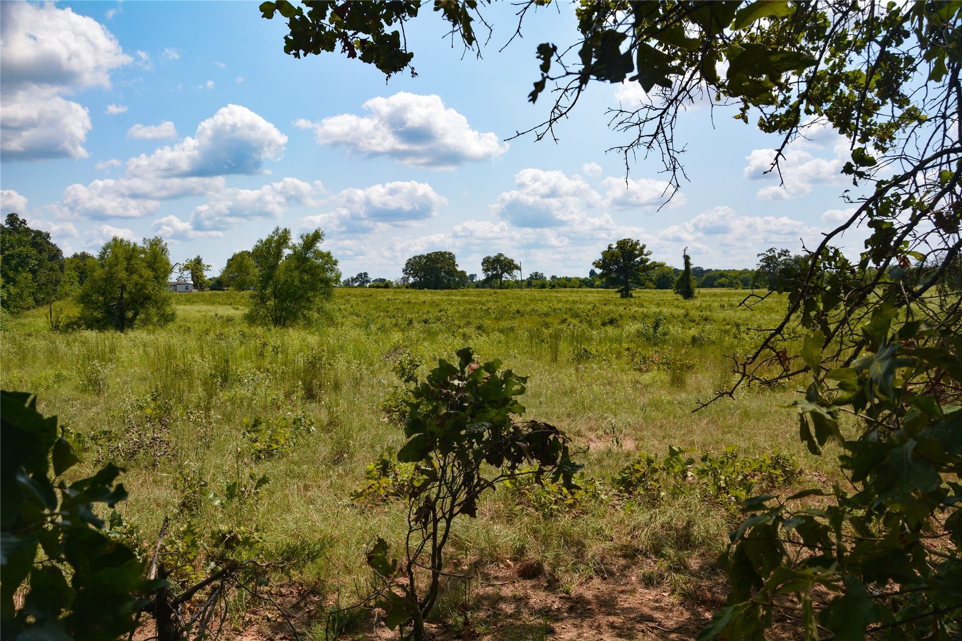 40.19 acres in Van Zandt County