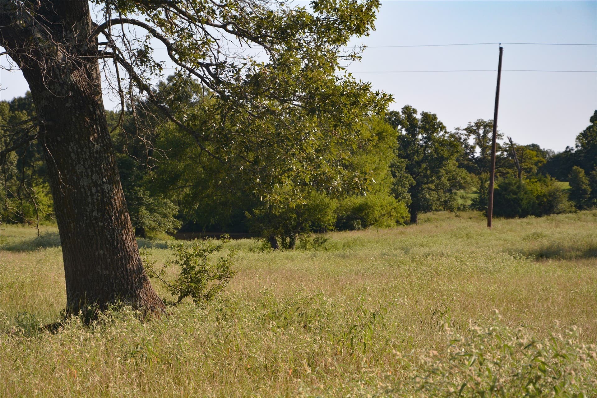 40.19 acres in Van Zandt County gallery image 3