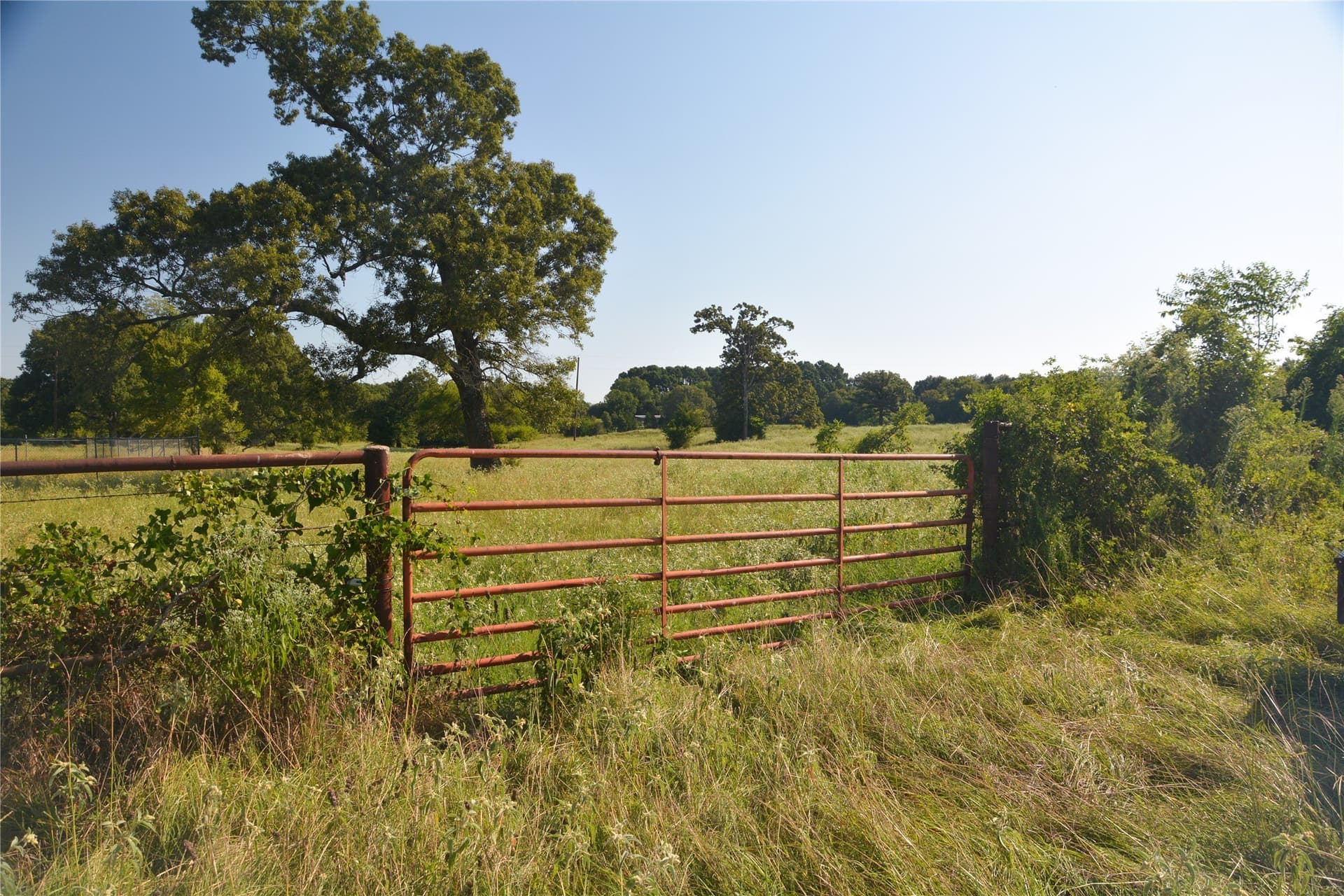 40.19 acres in Van Zandt County - photo 6