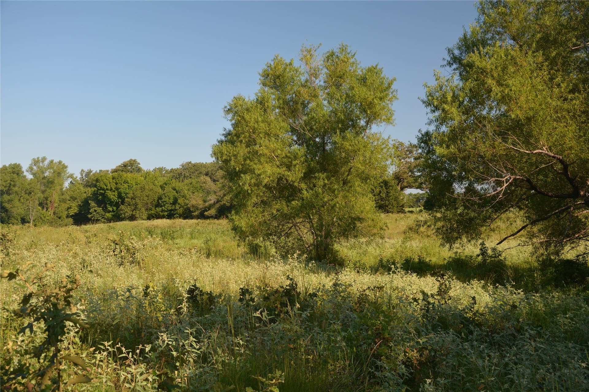 40.19 acres in Van Zandt County - photo 11