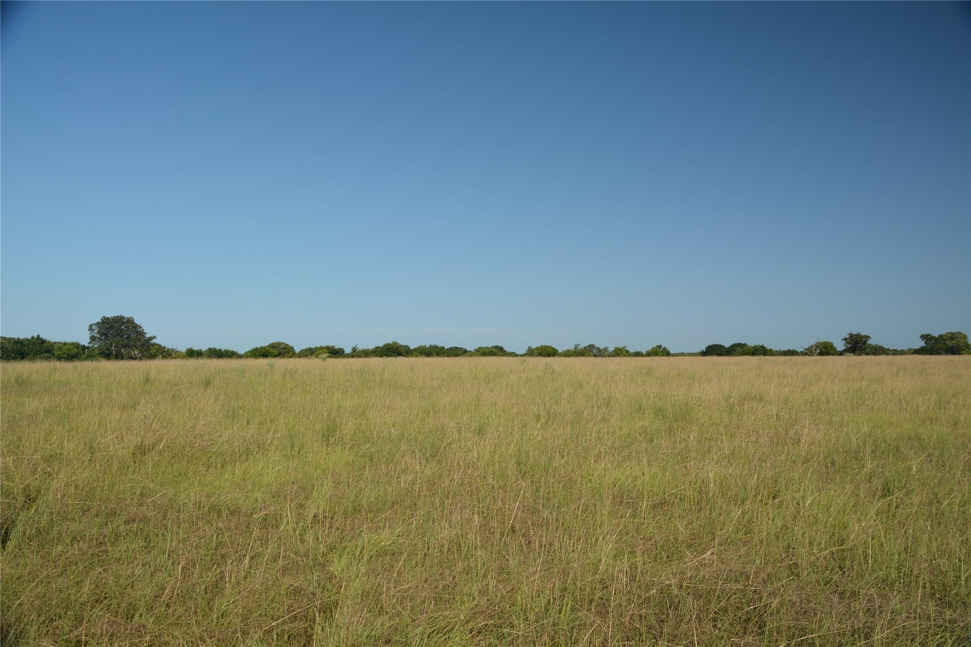 40.19 acres in Van Zandt County - photo 12