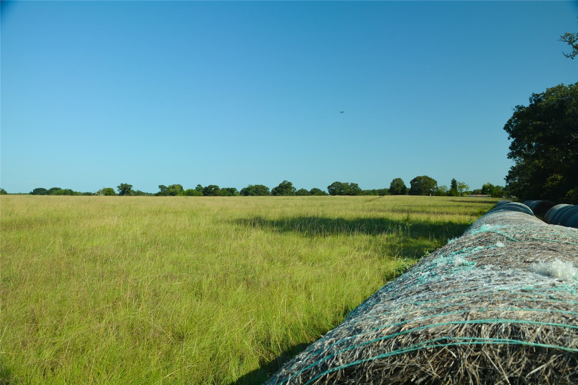 40.19 acres in Van Zandt County - photo 7