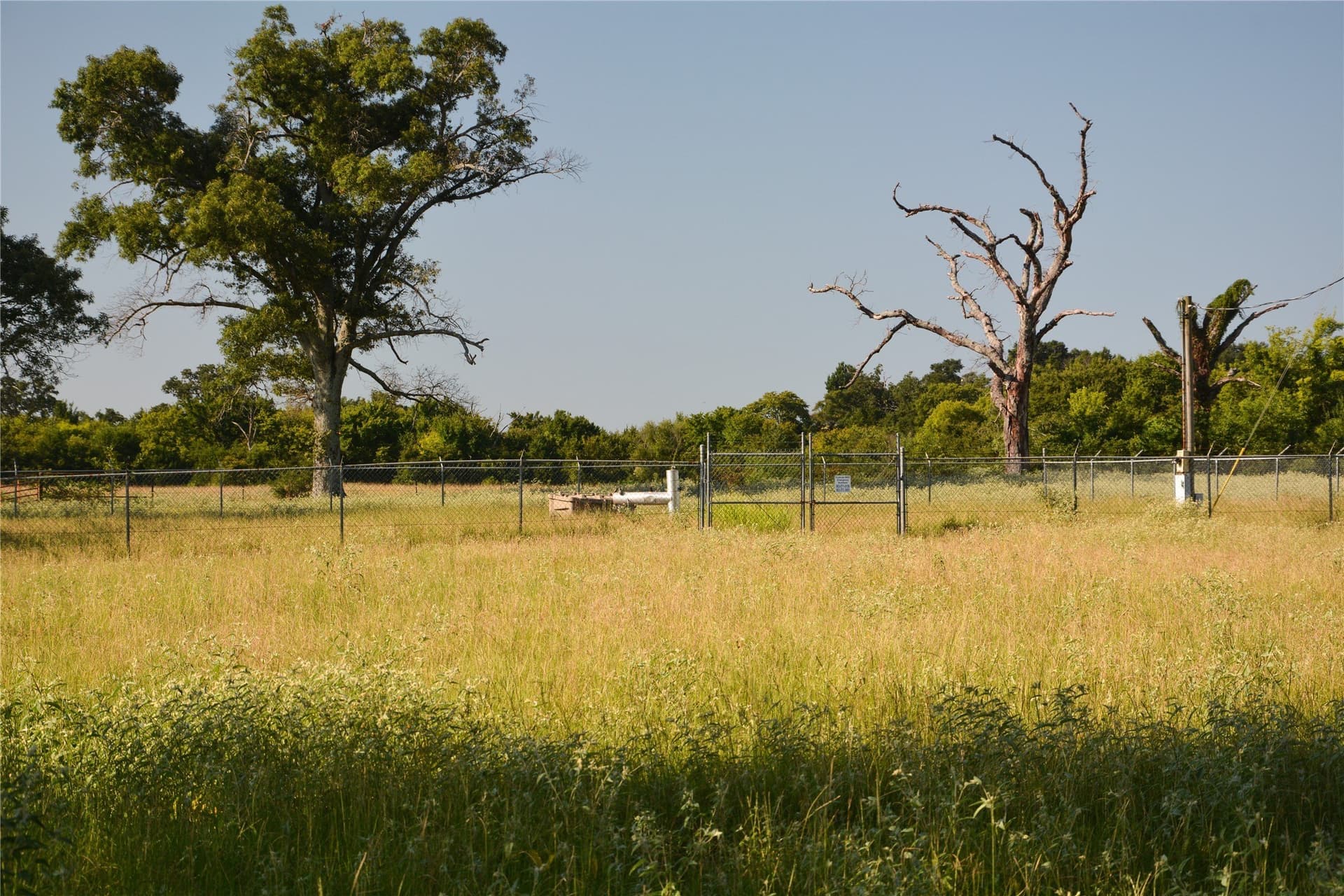 40.19 acres in Van Zandt County gallery image 4