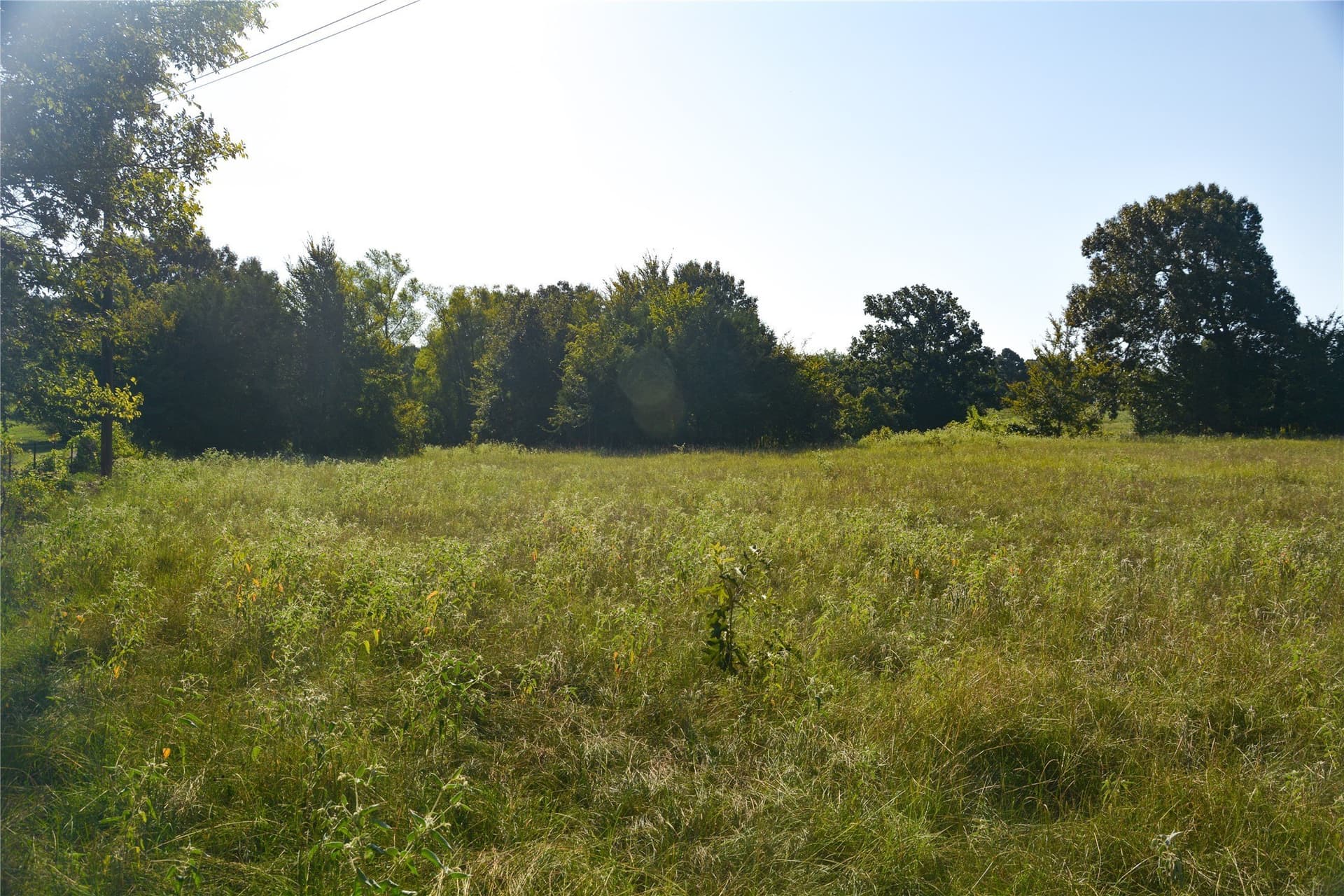 40.19 acres in Van Zandt County featured view