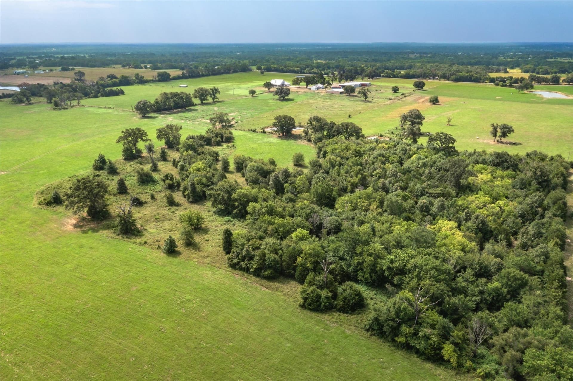 40.19 acres in Van Zandt County - photo 17