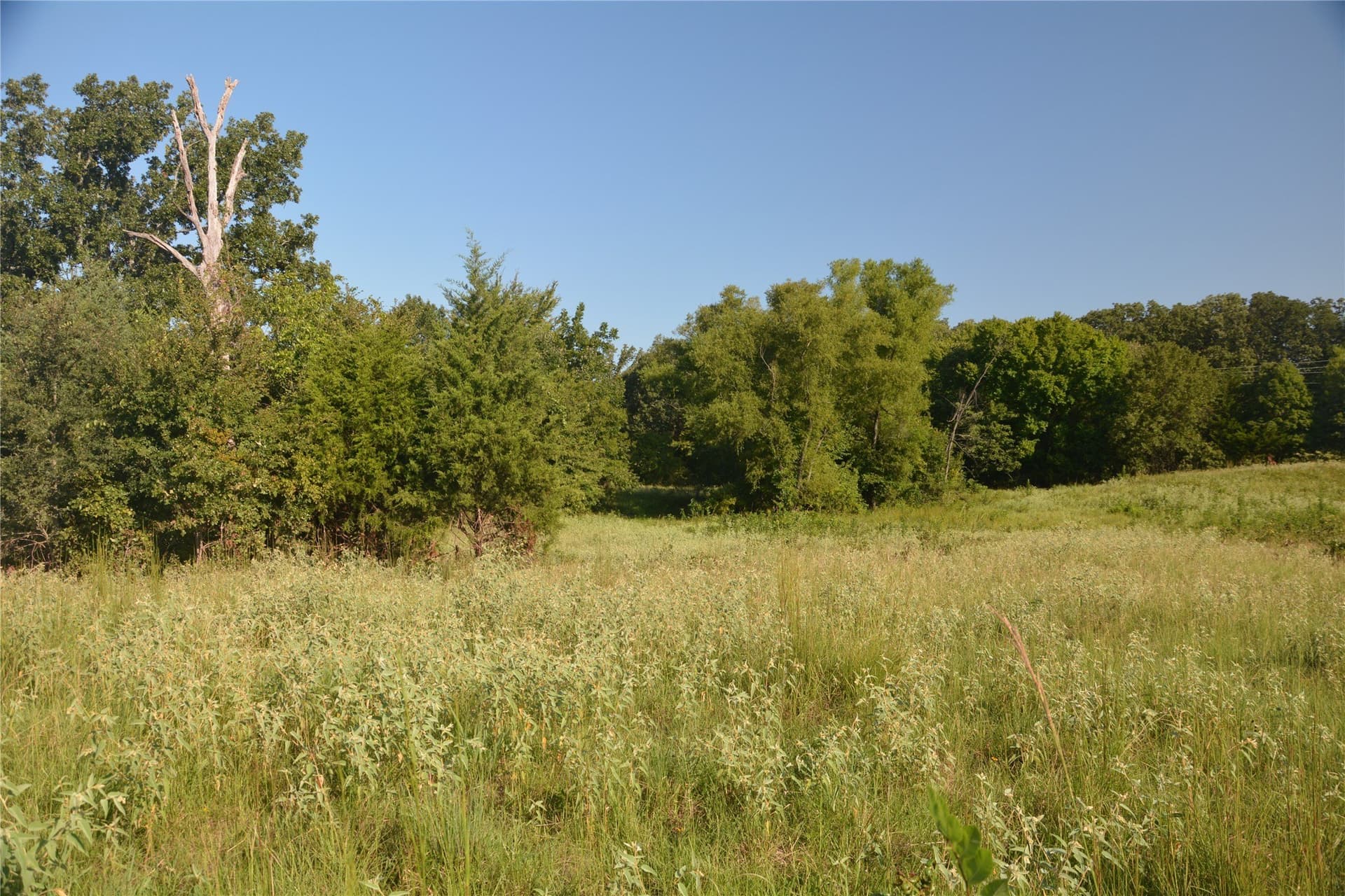 40.19 acres in Van Zandt County - photo 10