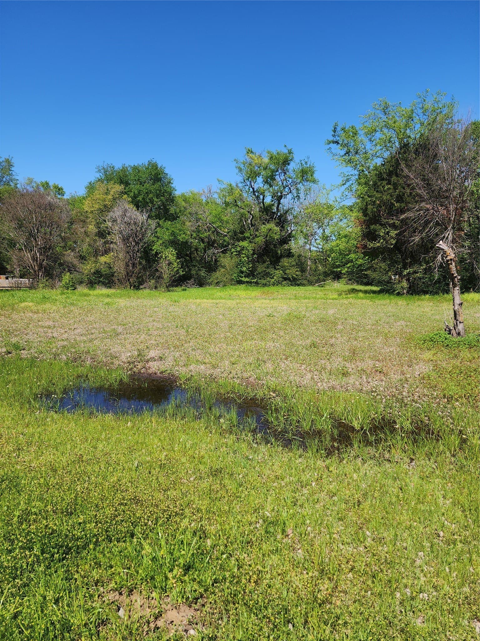 0.86 acres in Henderson County gallery image 2