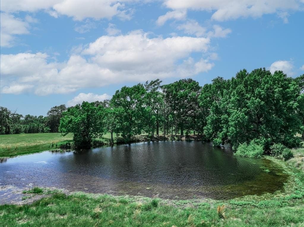 47.54 acres in Wood County gallery image 3