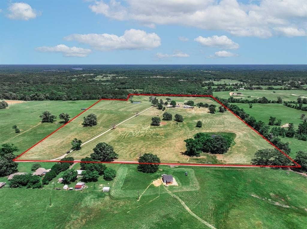 47.54 acres in Wood County gallery image 4
