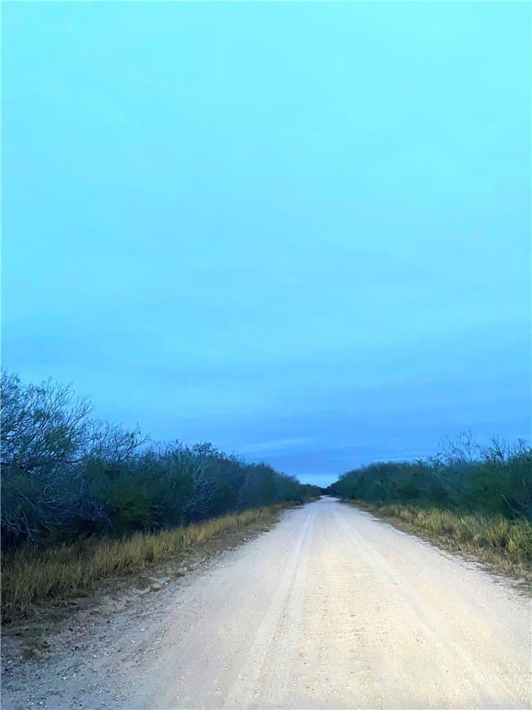22.22 acres in Duval County - photo 4