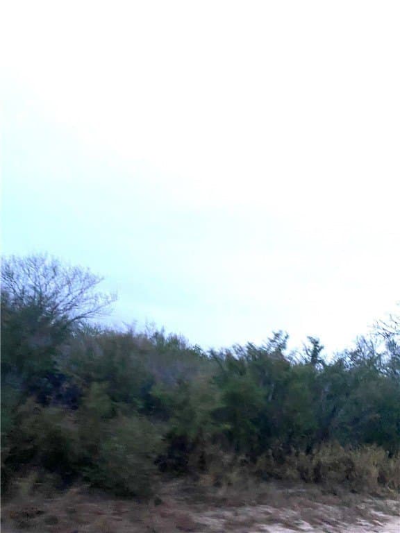22.22 acres in Duval County - photo 2