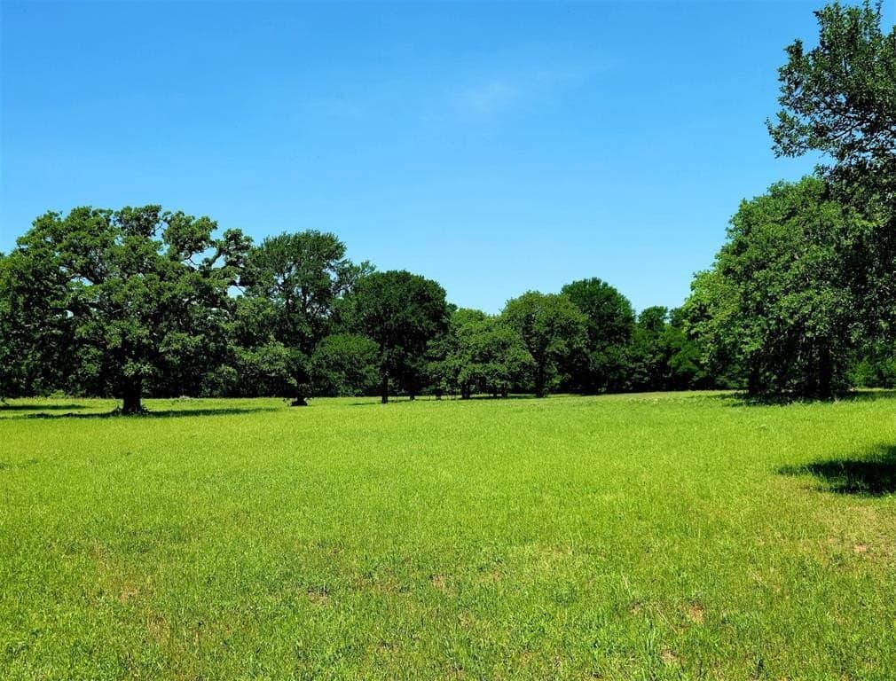 86.34 acres in Hill County gallery image 4