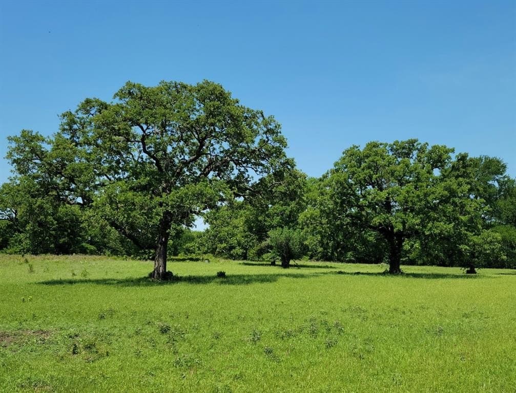 86.34 acres in Hill County featured view