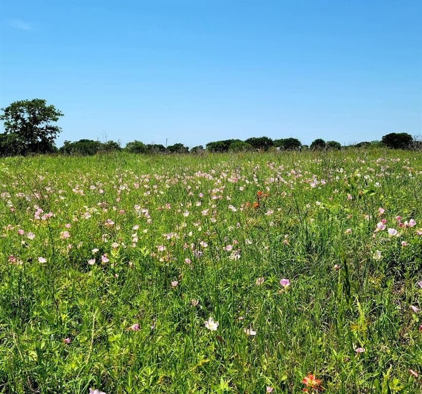 86.34 acres in Hill County