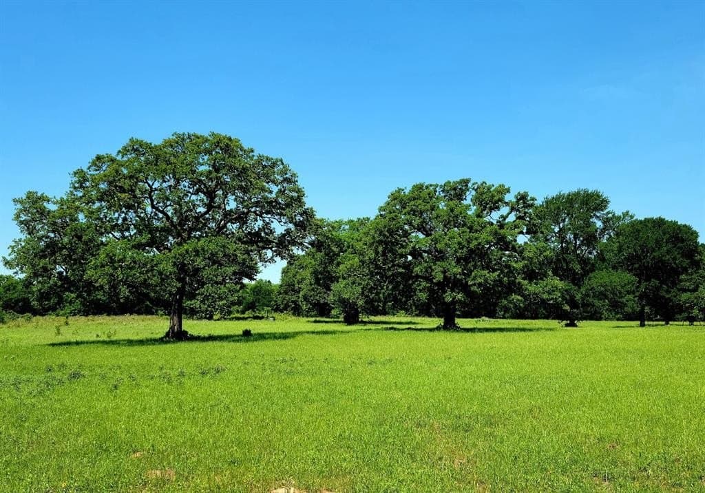 86.34 acres in Hill County gallery image 3