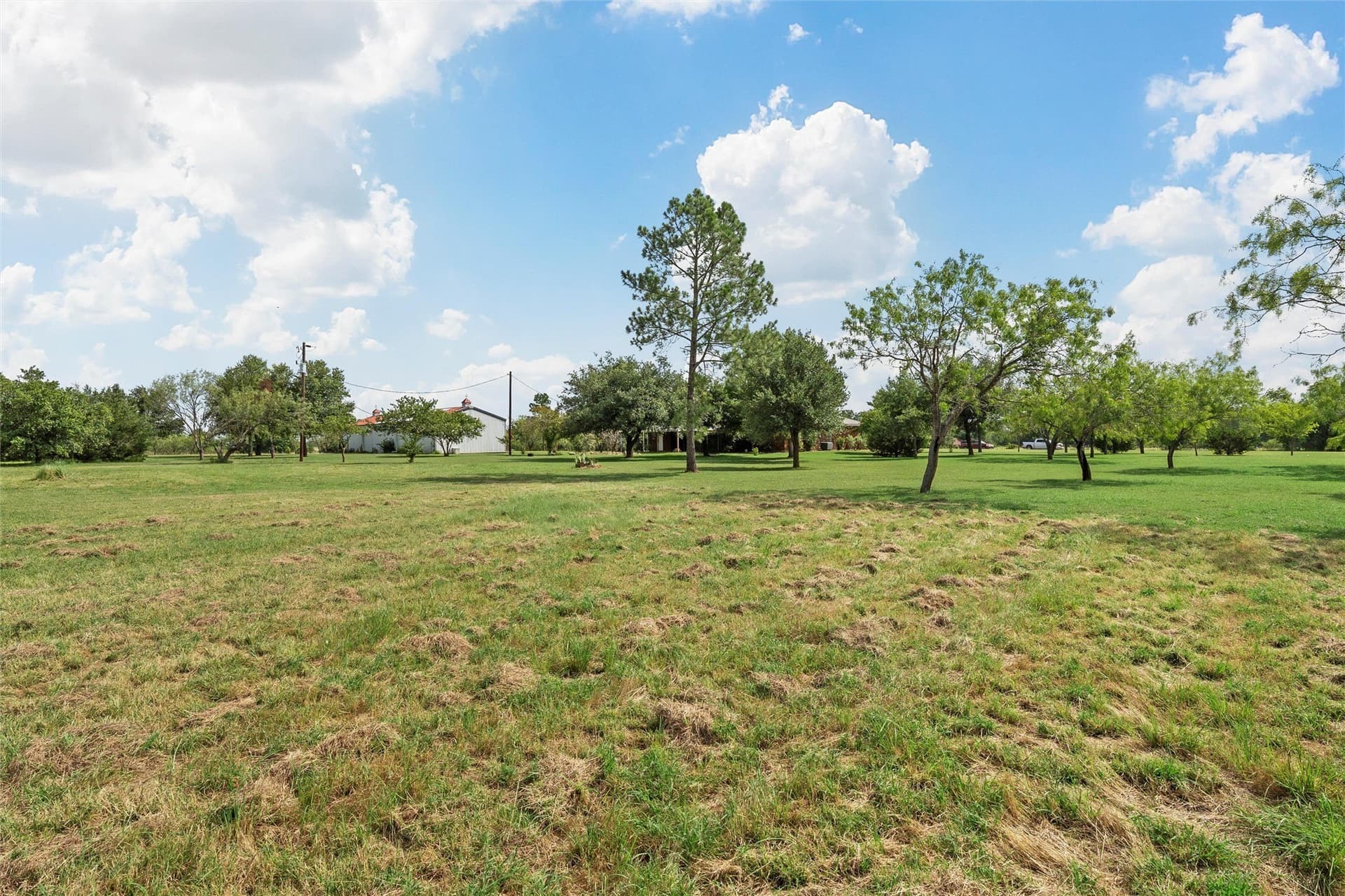 14.46 acres in Limestone County - photo 25
