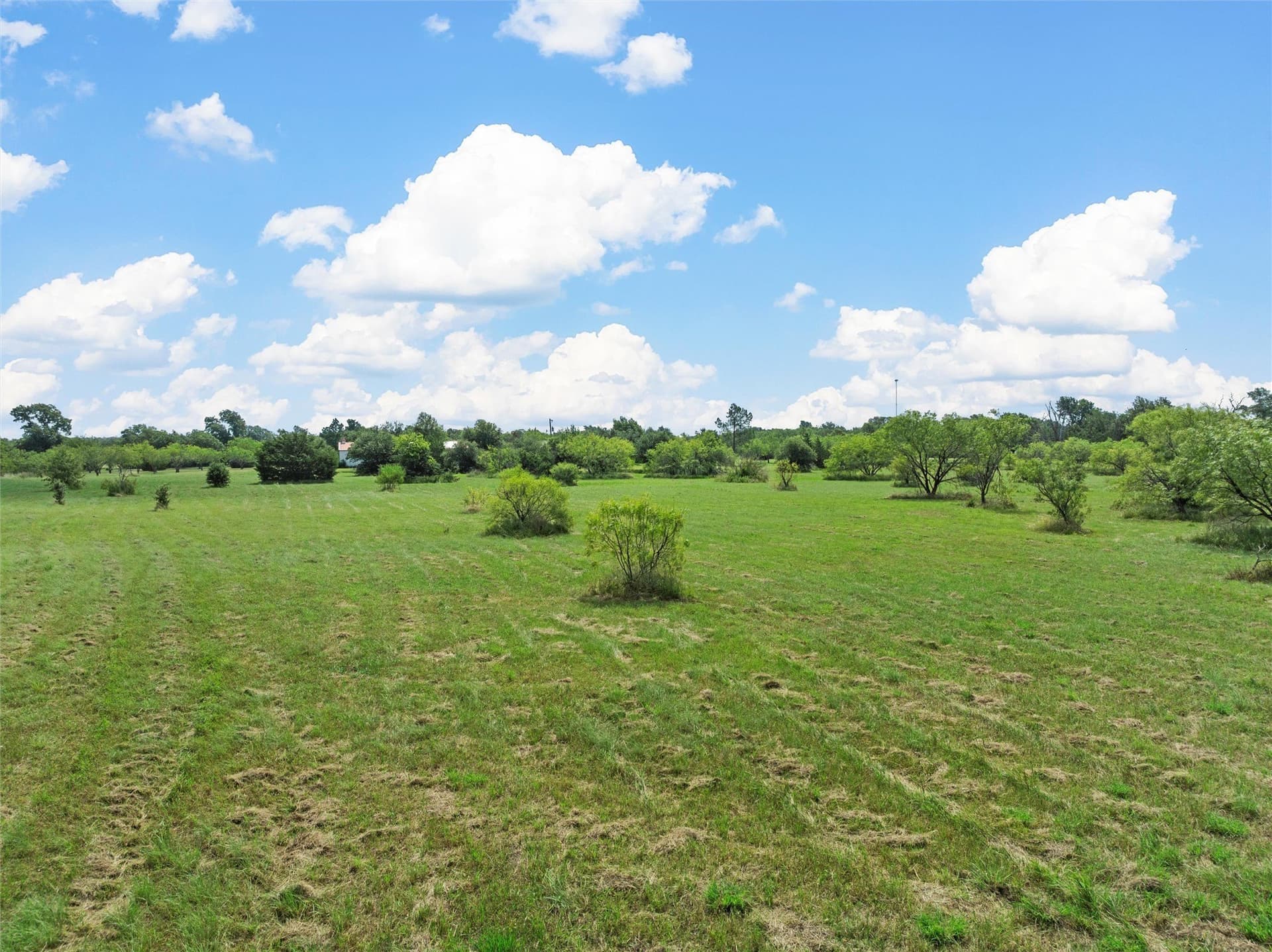 14.46 acres in Limestone County - photo 32