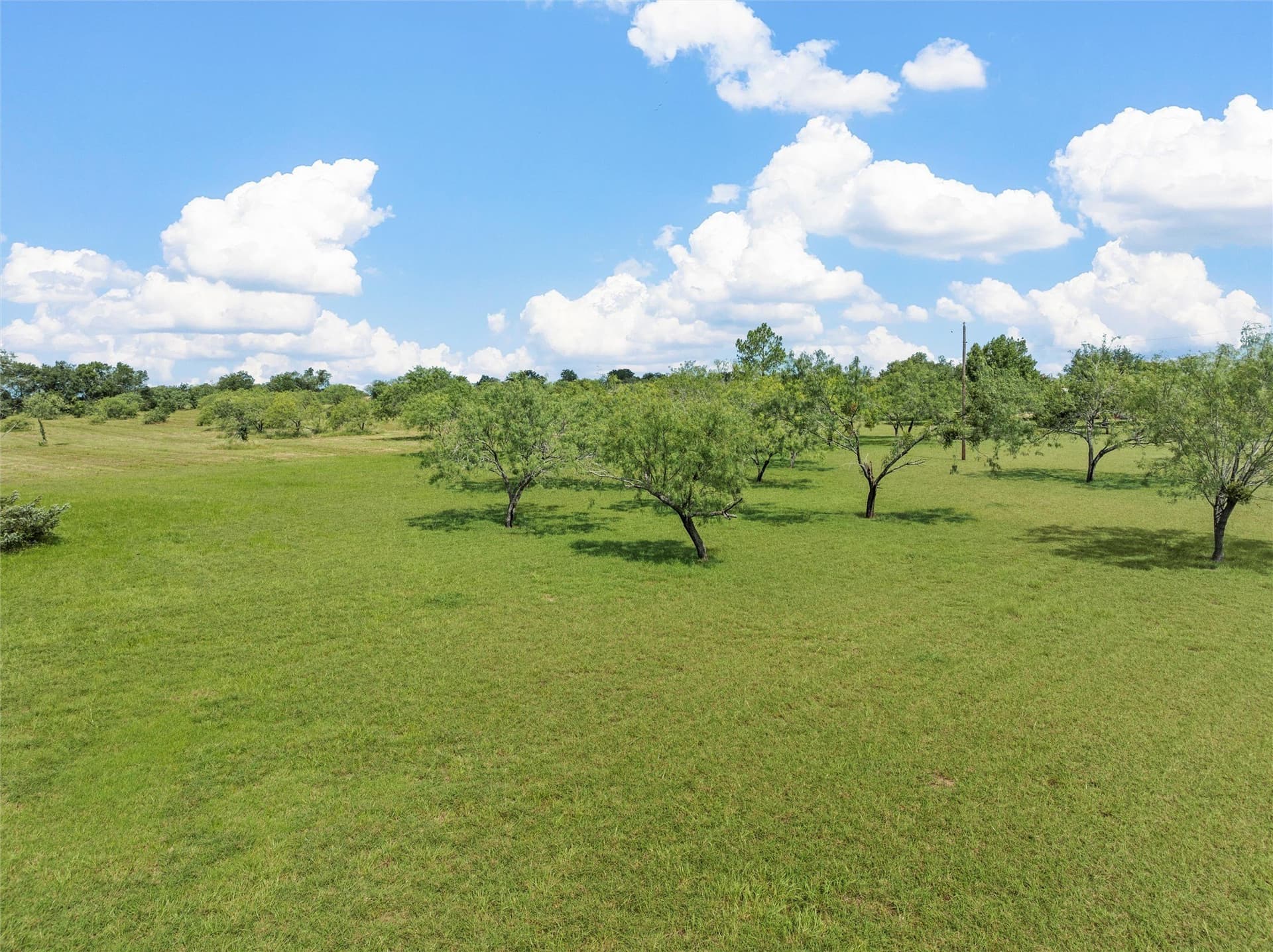 14.46 acres in Limestone County - photo 31