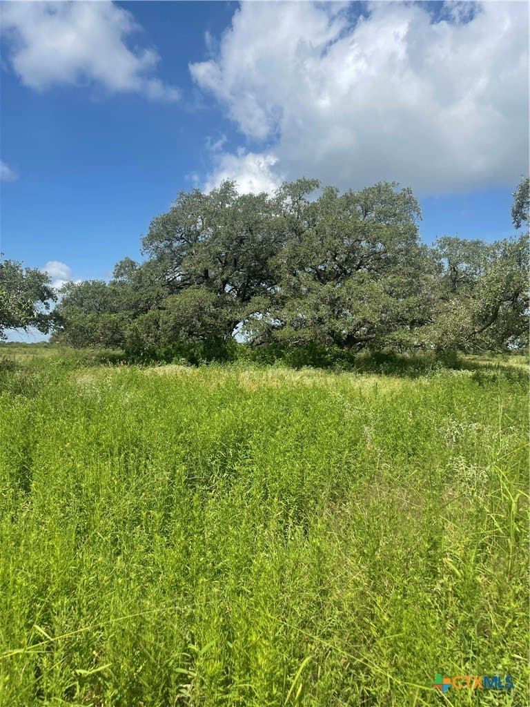 42.25 acres in Refugio County - photo 10