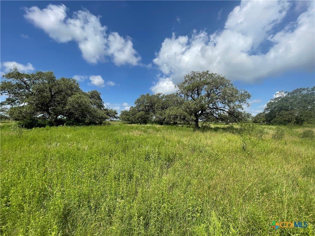 42.25 acres in Refugio County - photo 9