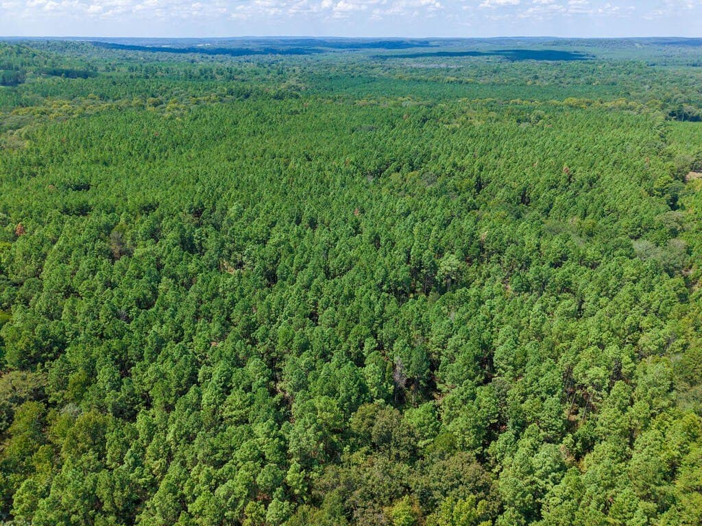 324.78 acres in Texas County - photo 24