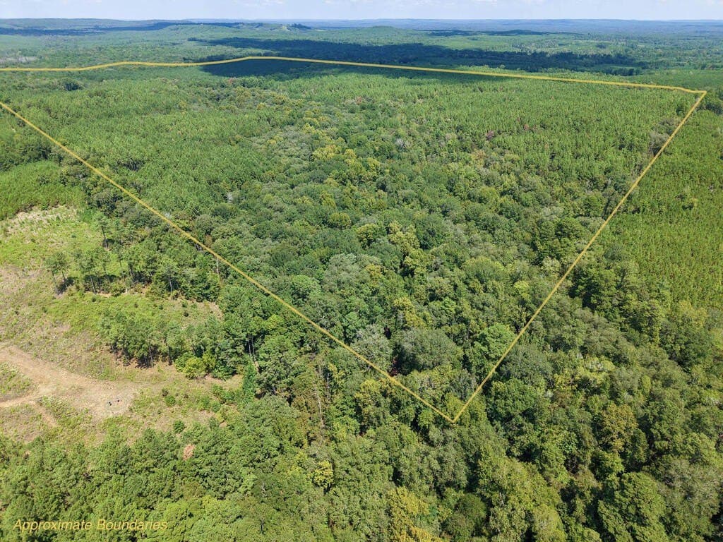 324.78 acres in Texas County - photo 9