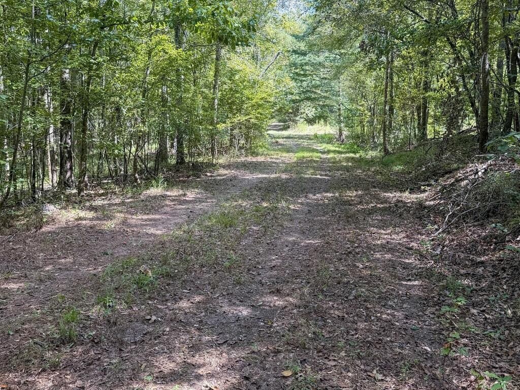 324.78 acres in Texas County - photo 40