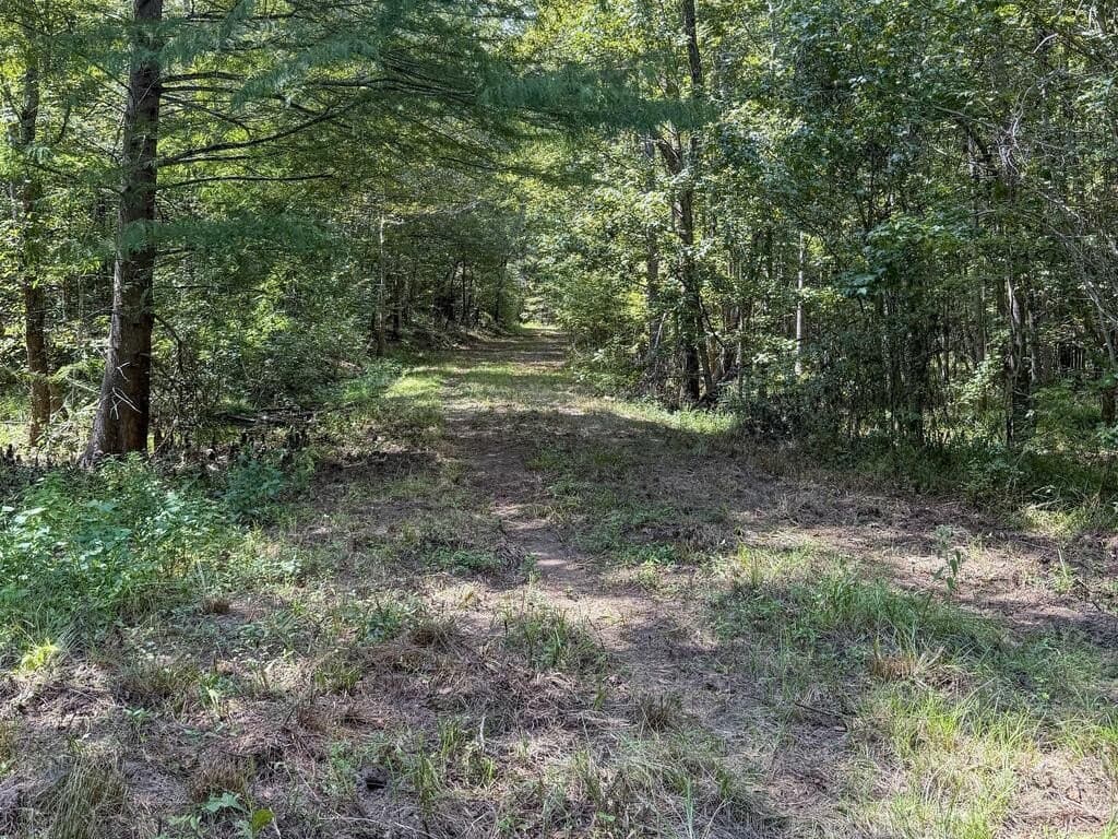 324.78 acres in Texas County - photo 33