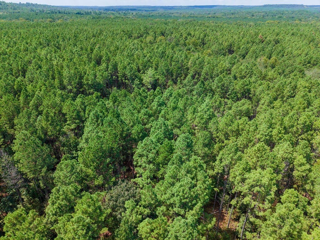 324.78 acres in Texas County - photo 27
