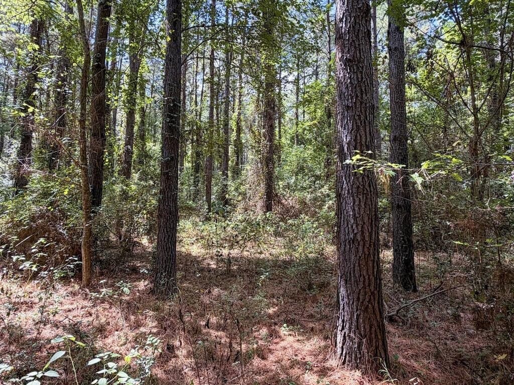 324.78 acres in Texas County - photo 31