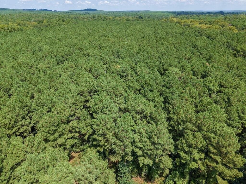 324.78 acres in Texas County - photo 10