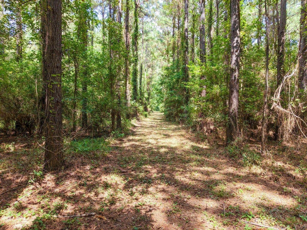 324.78 acres in Texas County - photo 35