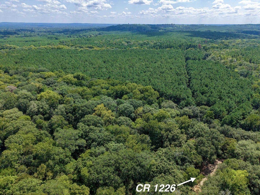 324.78 acres in Texas County - photo 3