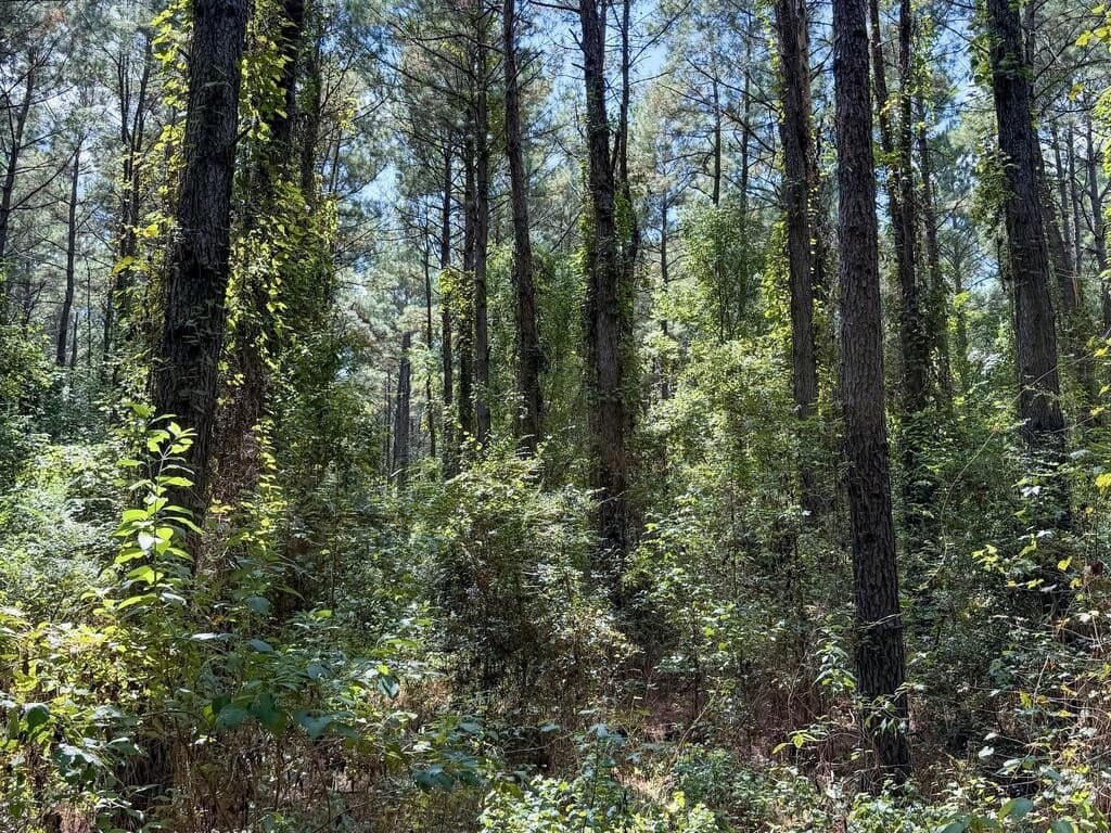 324.78 acres in Texas County - photo 32