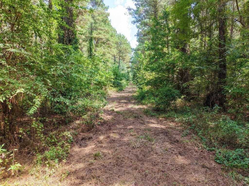 324.78 acres in Texas County - photo 37