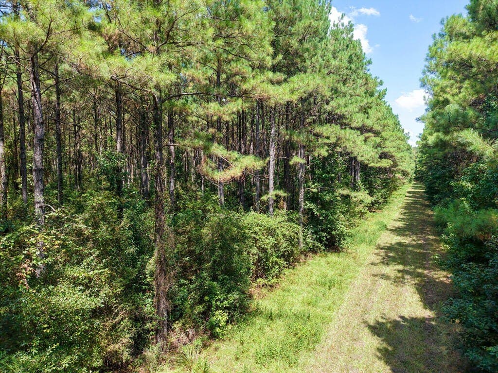324.78 acres in Texas County - photo 18