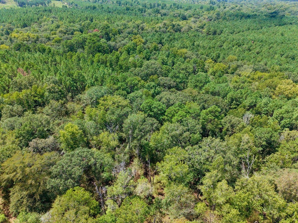 324.78 acres in Texas County - photo 23