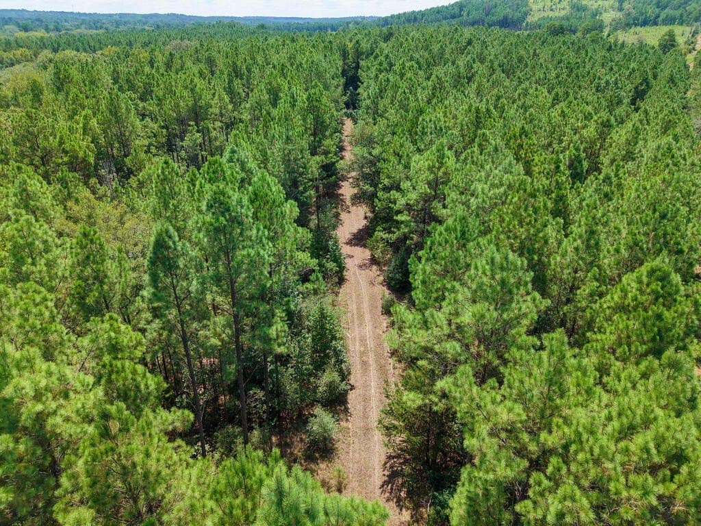 324.78 acres in Texas County - photo 13