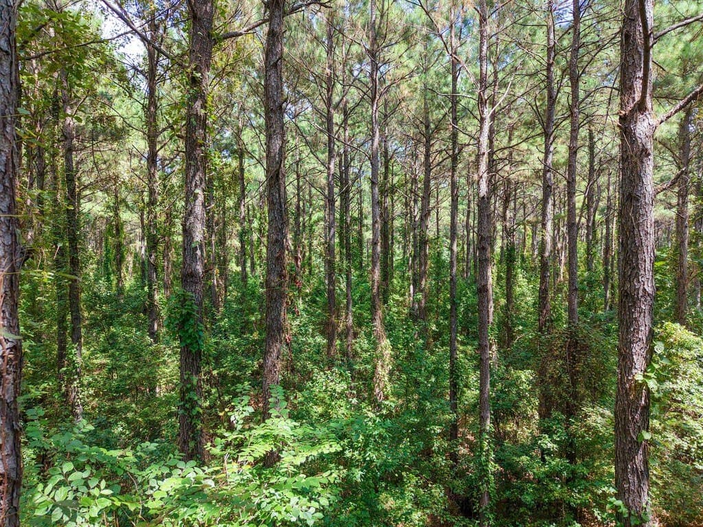 324.78 acres in Texas County - photo 36