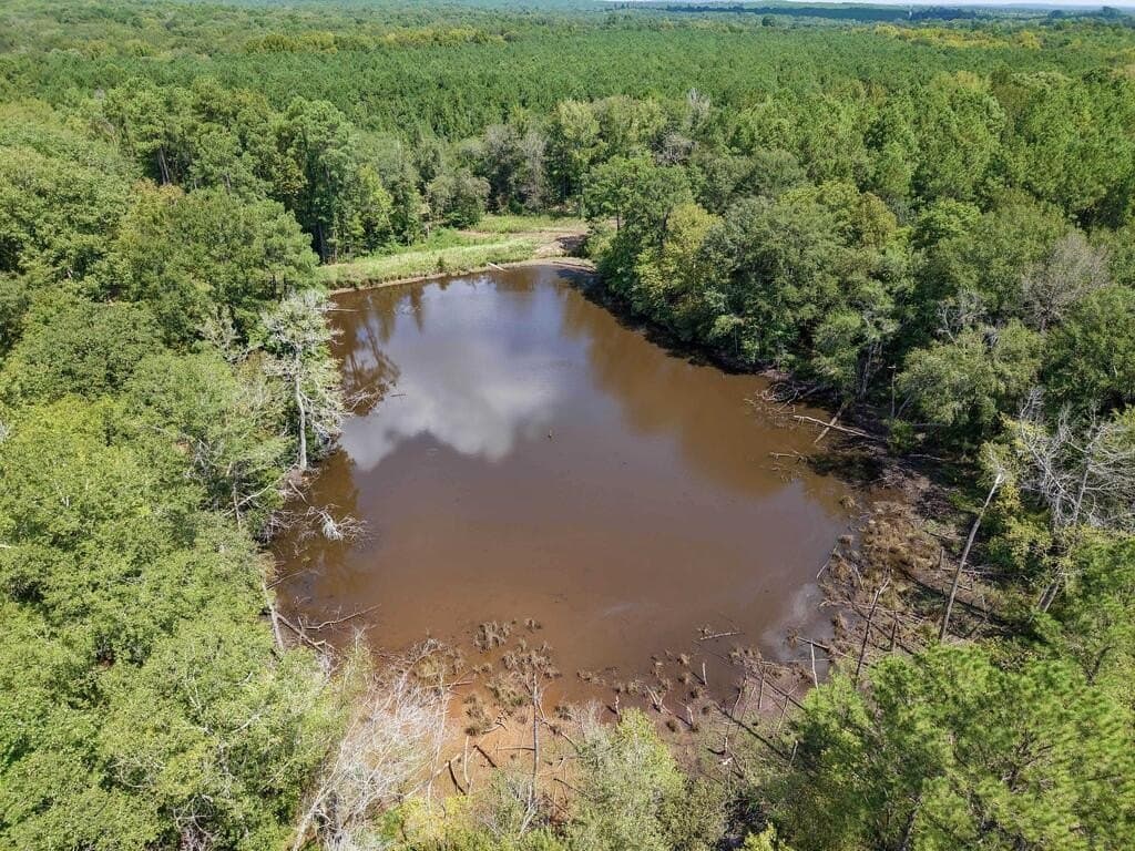 324.78 acres in Texas County - photo 6