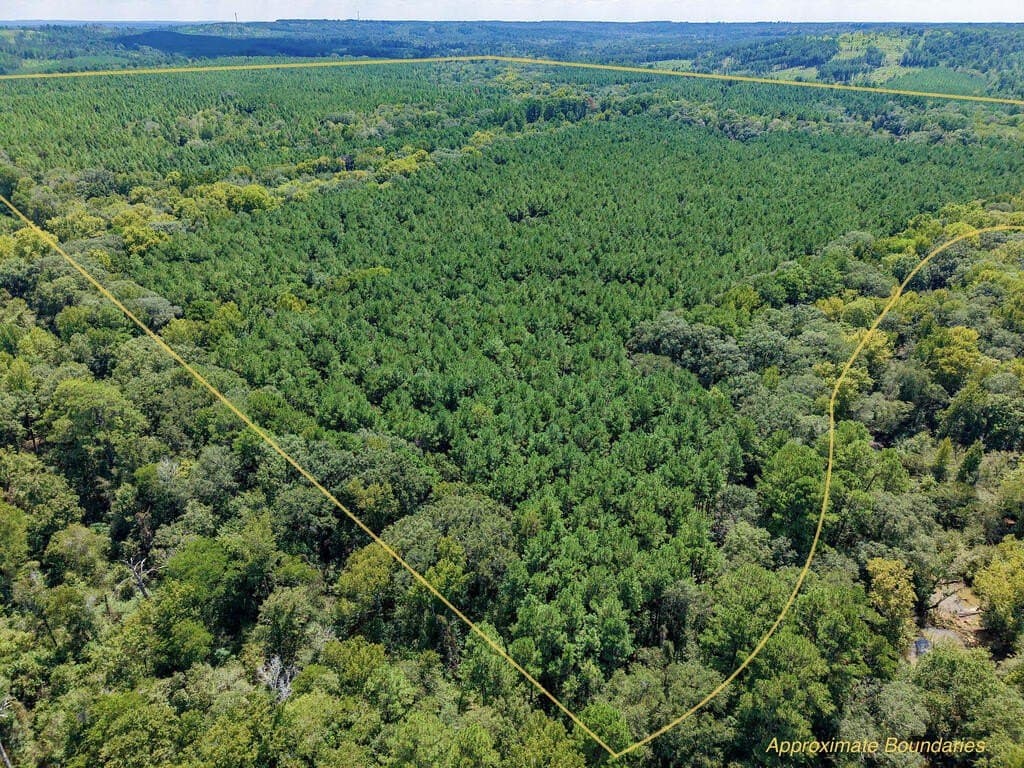 324.78 acres in Texas County - photo 29